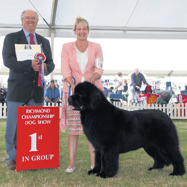 Ch. Sandbears Stride'N Style, JW winning the Working Group at Richmond