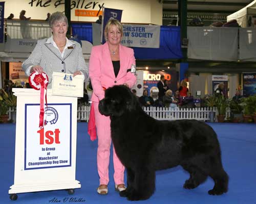 Deep Love Head Over Heels, JW winning the Working Group at Manchester Dog Show Society
