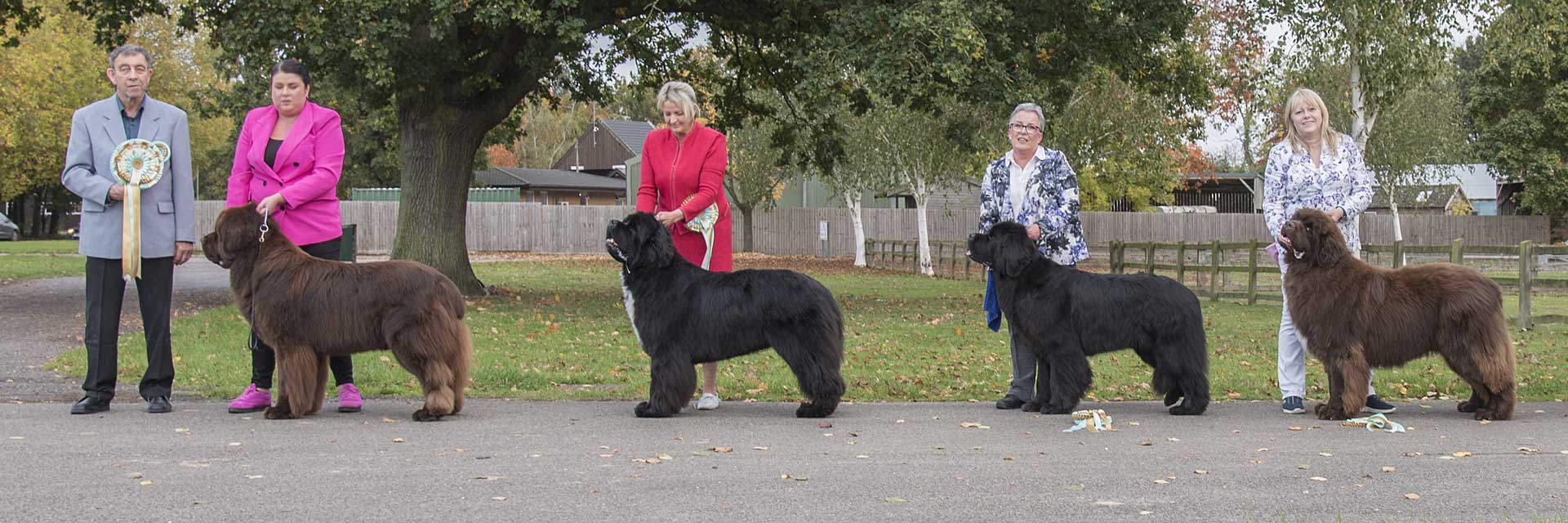 Winners line-up at Newfoundland Club Championship Show 2022