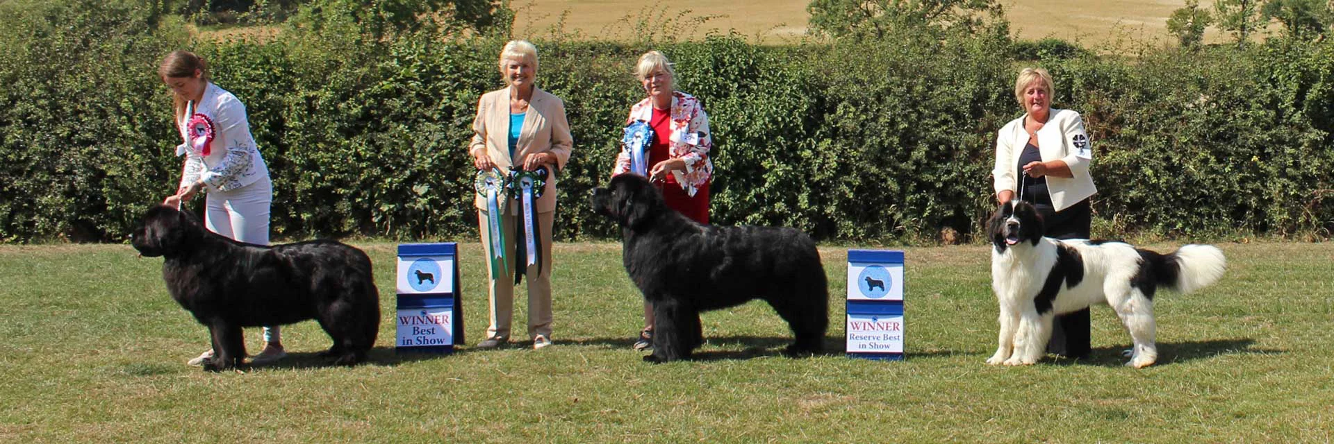Winners line-up at Northern Newfoundland Club Open Show 2022