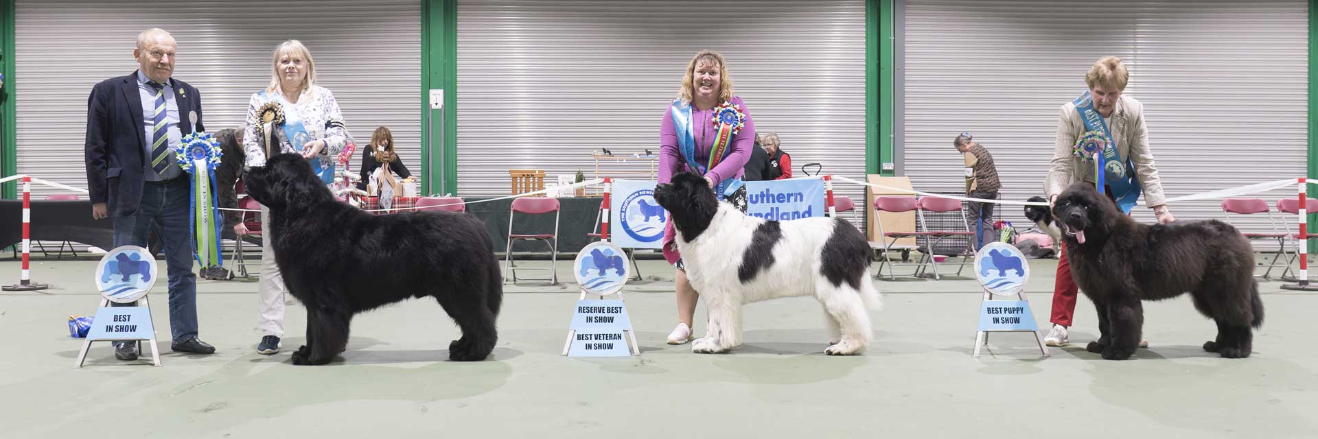 Winners line-up at Southern Newfoundland Club Championship Show 2022