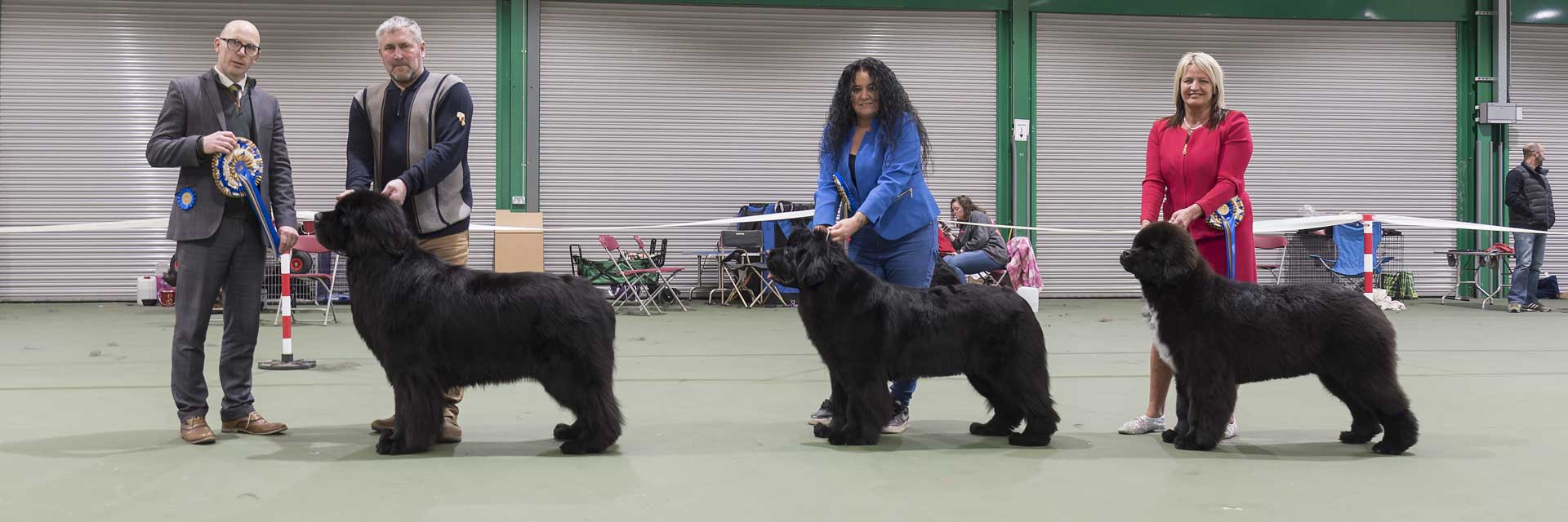 Winners line-up at Newfoundland Club Open Show 2023