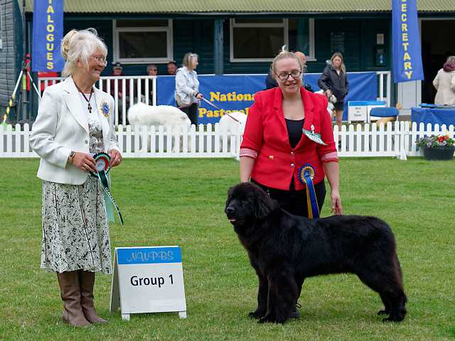 Newfangled Rising Star at Ipsleybear