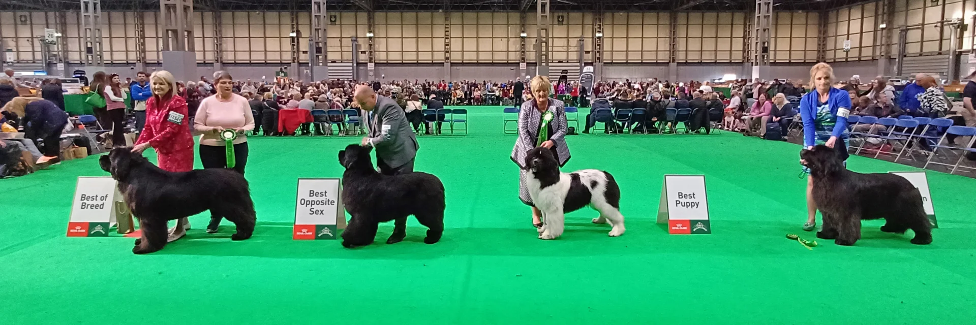 Winners line-up at Crufts 2025