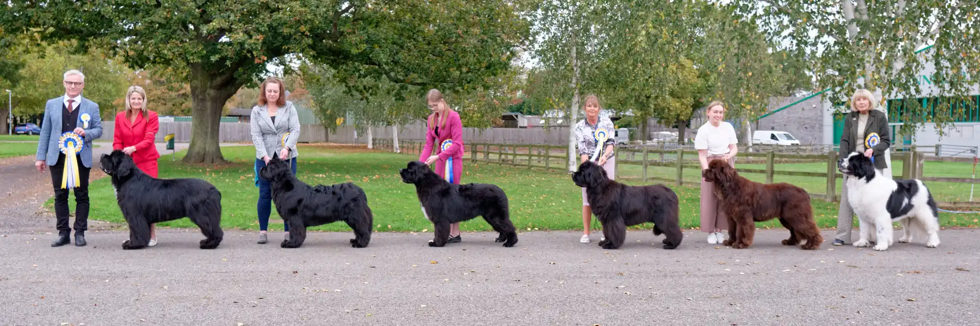 Winners line-up at Newfoundland Club Championship Show October 2025 judged by Johan Andersson