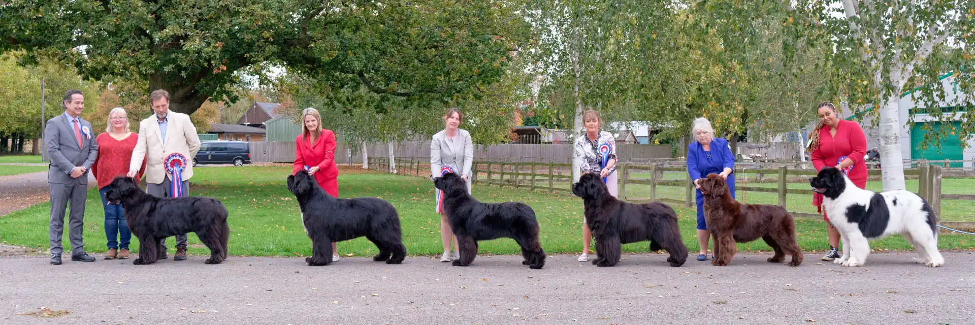 Winners line-up at Newfoundland Club Championship Show October 2025 judged by Milan Lint