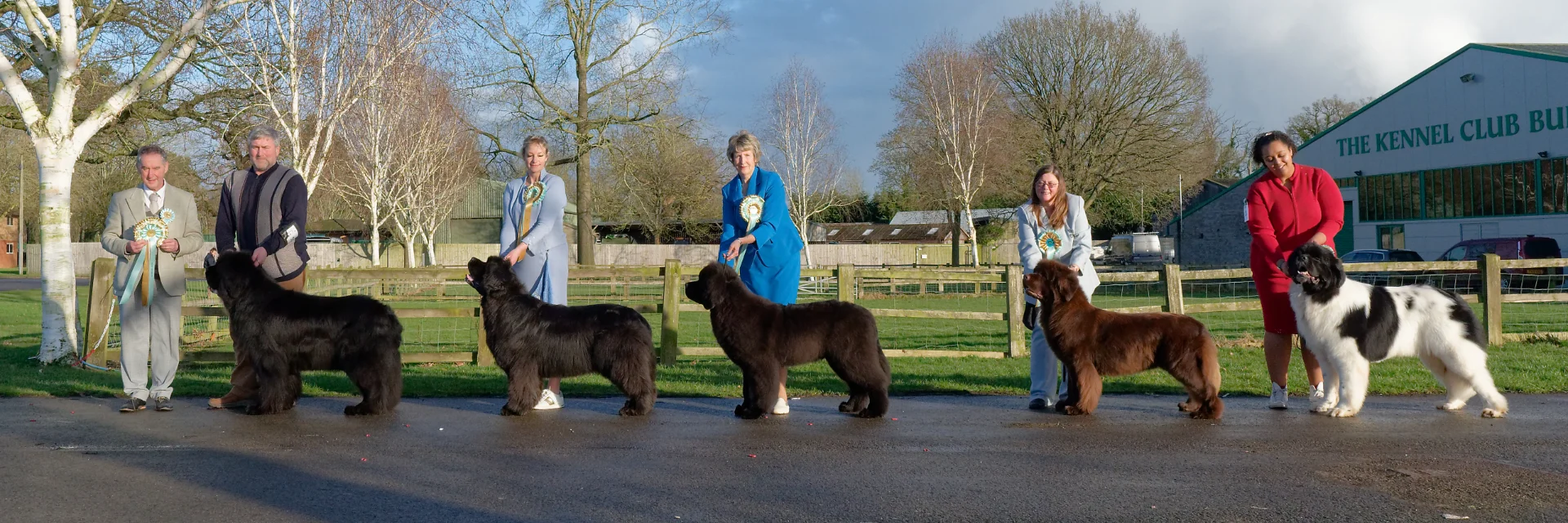 Winners line-up at Newfoundland Club Open Show 2025