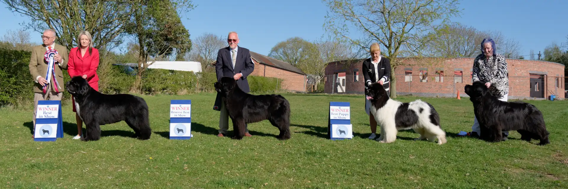Winners line-up at Northern Newfoundland Club Championship Show April 2025