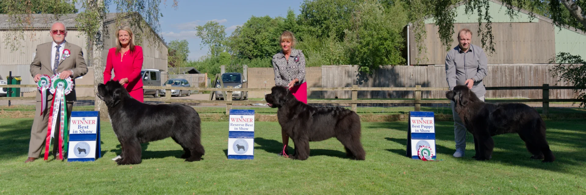 Winners line-up at Newfoundland Club Championship Show August 2025