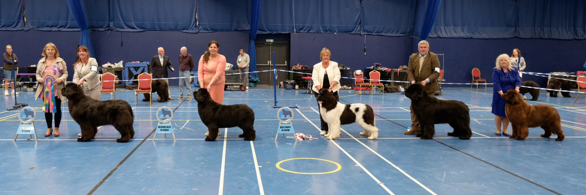Winners line-up at Southern Newfoundland Club Championship Show May 2025