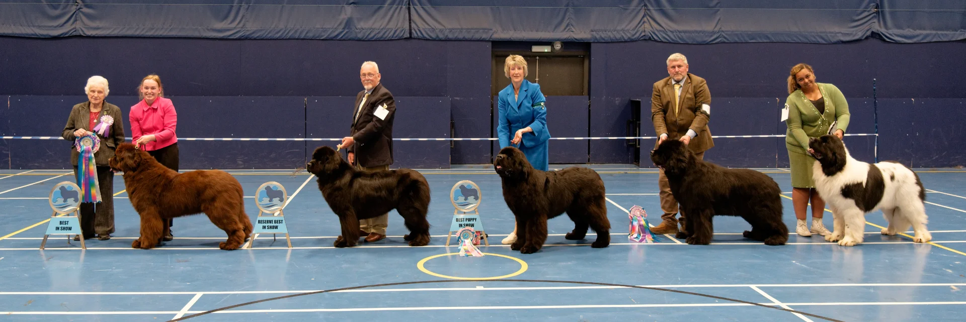 Winners line-up at Southern Newfoundland Club Open Show 2025