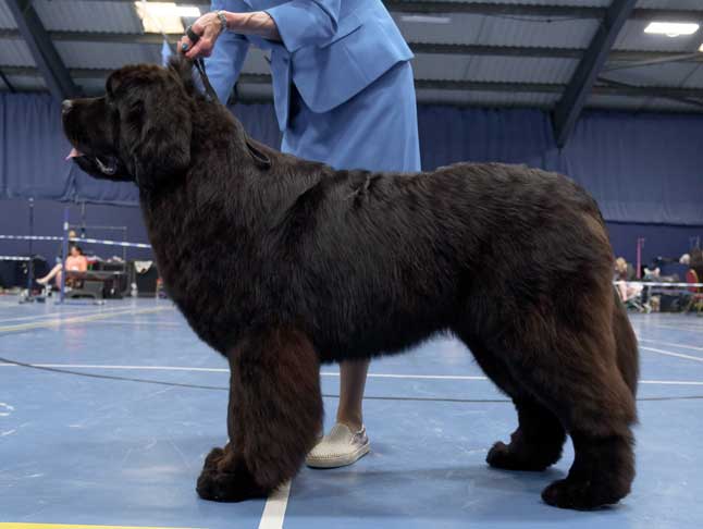 Two Rivers Wise Choice at Colnbear