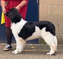 OUKAYA FOREVER ASTERIA OF KIZMET TO ZANIAH