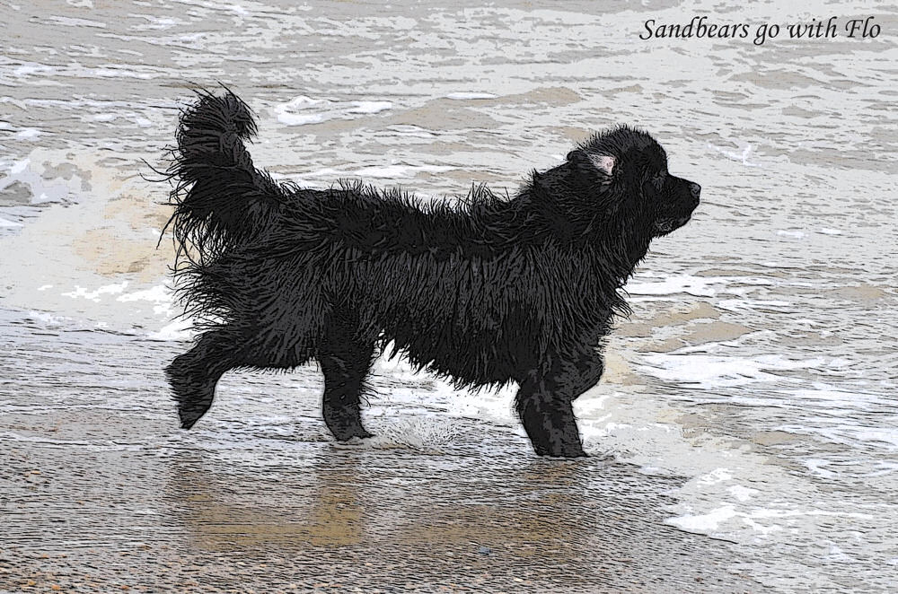 Flo entering the sea